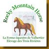 Rocky-moutain-horses